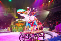 Шоу Гии Эрадзе «5 континентов» в Тульском цирке: феерия уже началась!, Фото: 35
