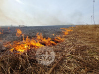 В Туле загорелось поле, Фото: 26