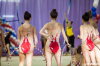Всероссийские соревнования по художественной гимнастике на призы Посевиной, Фото: 46