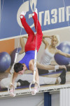 Первый этап Всероссийских соревнований по спортивной гимнастике среди юношей - «Надежды России»., Фото: 8