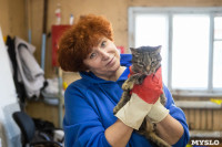 Волонтеры спасли кошек из адской квартиры, Фото: 79