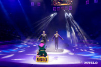 Цирковое шоу Жар птица, Фото: 101