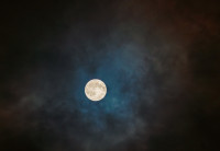 Бобровое суперлуние в Туле: фоторепортаж, Фото: 19