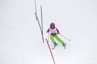 Третий этап первенства Тульской области по горнолыжному спорту., Фото: 17