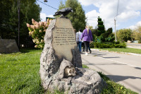 Кимовск-Донской-Новомосковск-Узловая, Фото: 15