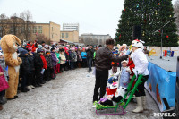 Открытие елки на площади искусств. 19.12.2014, Фото: 40