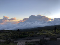 Килиманджаро, Фото: 11