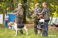 Фестиваль охоты в Ясной Поляне, Фото: 17