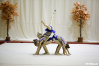 Соревнования по художественной гимнастике "Осенний вальс", Фото: 152