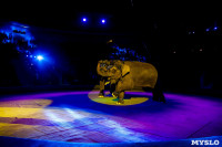 Цирк Инди Ра, Фото: 100