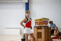 Спортивная гимнастика в Туле 3.12, Фото: 8