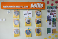 Кимовск-Донской-Новомосковск-Узловая, Фото: 41