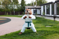 Кимовск-Донской-Новомосковск-Узловая, Фото: 37