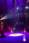 Премьера в Тульском цирке: шоу фонтанов «13 месяцев» удивит вас!, Фото: 23