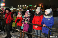 Открытие главной ёлки на площади Ленина, Фото: 17