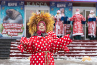 Новый год в Тульском цирке, Фото: 3