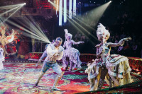 Новое грандиозное шоу Гии Эрадзе «Королевский цирк» стартует в Тульском цирке, Фото: 47
