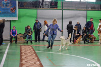 Выставка собак в Туле , Фото: 83