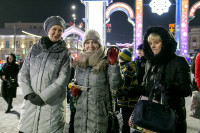 Открытие новогодней ёлки на площади Ленина, Фото: 21