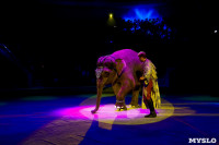 Цирк Инди Ра, Фото: 95