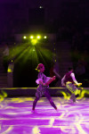 Успейте посмотреть шоу «Новогодние приключения домовенка Кузи» в Тульском цирке, Фото: 118