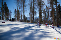 Состязания лыжников в Сочи., Фото: 39