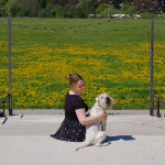 Арт-кэмп "Дикая Мята" прошел сертификацию по стандарту Pet-friendly, Фото: 2