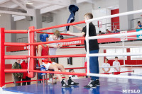 В Тульской области проходит областное первенство по боксу, Фото: 2