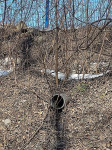 Прокуратура ищет виновника загрязнения реки Воронки нефтепродуктами, Фото: 1