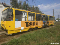 Брендированный трамвай, Фото: 3