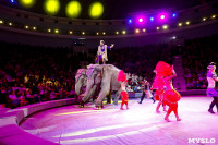 Цирк Инди Ра, Фото: 54
