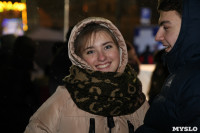 Открытие главной ёлки на площади Ленина, Фото: 7
