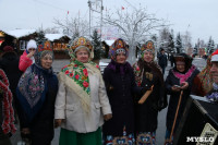 На площади Ленина в Туле открылась новогодняя ярмарка , Фото: 5