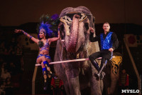 «Шоу Слонов» в Тульском цирке, Фото: 3