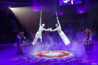 Шоу Гии Эрадзе «5 континентов» в Тульском цирке: феерия уже началась!, Фото: 115