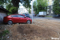 Туляки просят спасти старинный дуб на улице Энгельса, Фото: 3