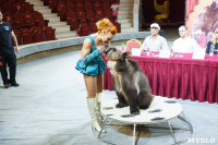 Пресс-конференция в Тульском цирке, Фото: 12