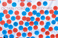 ЭвоКом полумарафон «Тула»: бежали все! , Фото: 154