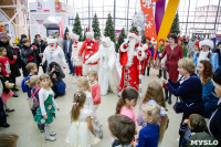Главный Дед Мороз Новогодней столицы поздравил юных туляков, Фото: 56