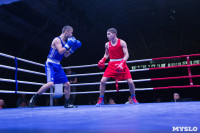 В Туле прошли финальные бои Всероссийского турнира по боксу, Фото: 37