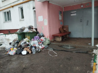 «Подъздные пути расчистили, а мусор не убирают»: жители улицы Некрасова жалуются на работу «Хартии» , Фото: 7
