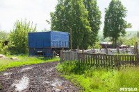 Коровы, свиньи и горы навоза в деревне Кукуй: Роспотреб требует запрета деятельности токсичной фермы, Фото: 1