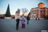 В Тульском кремле открылась новогодняя елка, Фото: 11