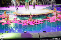 Цирк на воде «Остров сокровищ» в Туле: Здесь невозможное становится возможным, Фото: 47