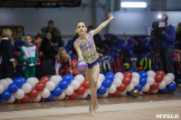 Всероссийский турнир по художественной гимнастике, Фото: 55