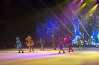 Шоу-балет в Ледовом дворце, Фото: 46