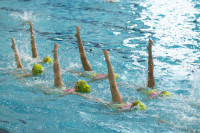 первенство цфо по синхронному плаванию, Фото: 2