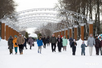 Масленица в Центральном парке, Фото: 75
