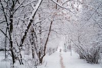 Снегопад в Туле 11 января, Фото: 49