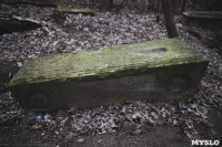 Кладбища Алексина зарастают мусором и деревьями, Фото: 65